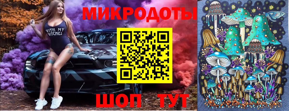 Псилоцибиновые грибы GOLDEN TEACHER  Вход с VPN  купить наркотик  Балтийск 